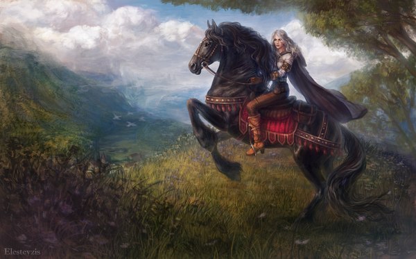 mistress of time - Ciri, Witcher, Andrzej Sapkowski, Kelpie, Art, Games