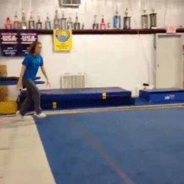  ,  gymnast.exe .