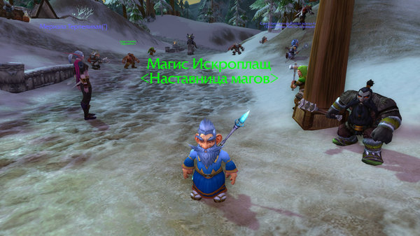 Tolerance has reached World of Warcraft - Wow, My, Gnomes, Tolerance, Blizzard