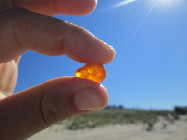 Today I found a piece of sun on the beach on the Curonian Spit :)) - My, Photo, The photo, Amber, Kaliningrad, Kaliningrad region, Curonian Spit