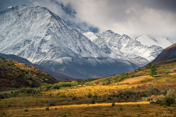 And in the mountains, spring has already smoothly turned into autumn ... - Mountain Altai, The mountains, Svetlana Kazina, Altai Republic