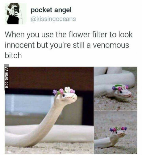 When you use a floral filter to look innocent... - Snake, The photo, Filter