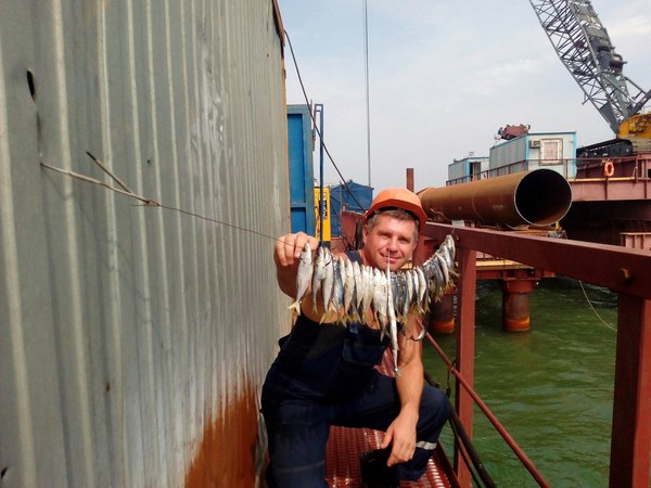 Lived! - Kerch bridge, Workers, A fish, Irony, Sarcasm, Crimean bridge