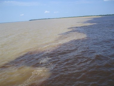 Rivers wedding. - Brazil, River, Wedding, Coffee with milk