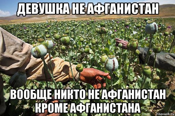 Любую можно завоевать