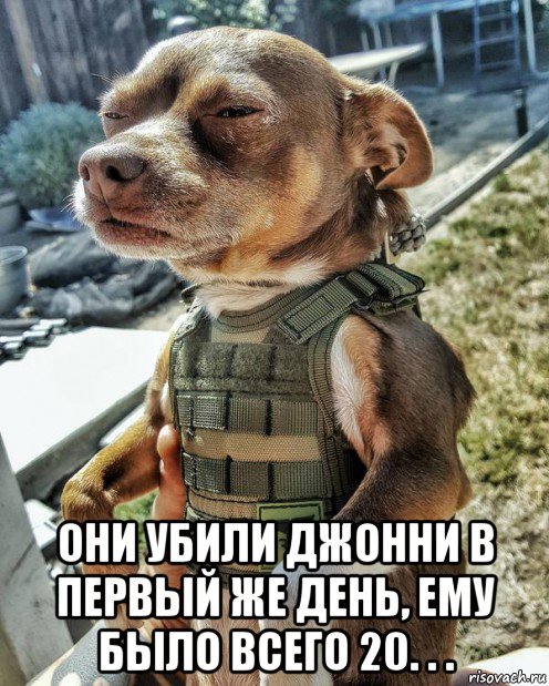 ������� ��������.