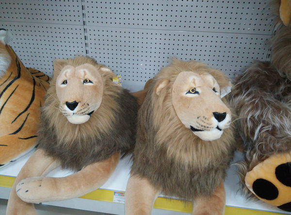 ��� ������ ��������� ������...