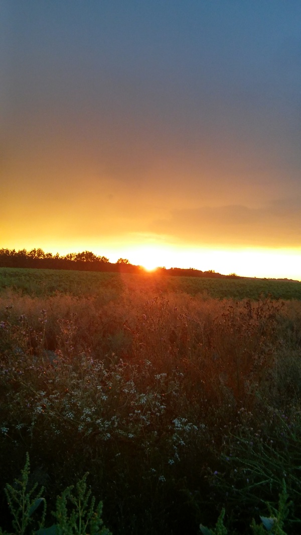 Sunset... - My, , Landscape, , Sunset