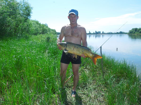 Yesterday at Buzan. - My, Carp, Fishing, 