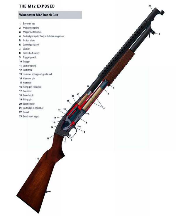 Cutaway Weapon by Osprey - Weapon, Materiel, Longpost