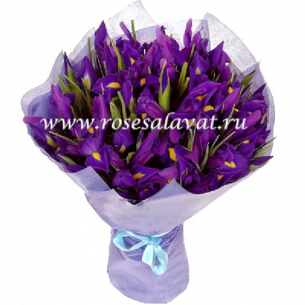 Business in Salavatsky. Did you order flowers? Then we are coming to you! - My, Flowers, Delivery, Rudeness, Threat, Salavat, Impudence, Longpost