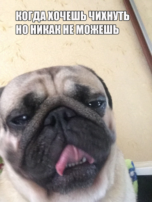    ,    ... ,  (), 