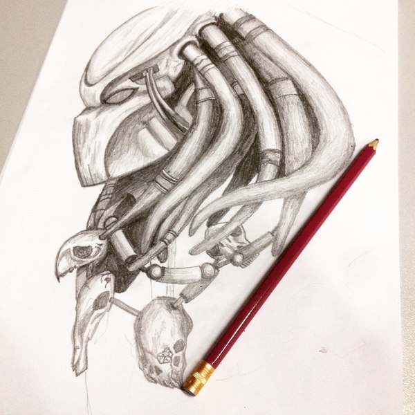 My Predator fan art in progress) - My, Drawing, Pencil, Process, Predator, Movies, Art, Humor, Predator (film)