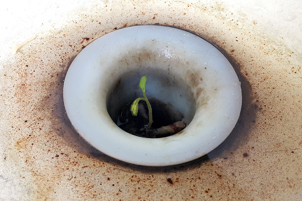 ���������� � �����