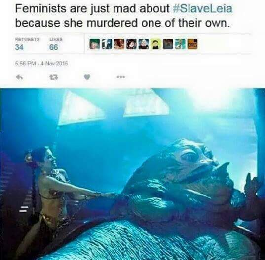 Firewood in the fire - Feminism, Fools, Star Wars