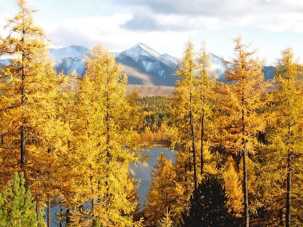 Autumn Altai - My, Altai, Autumn, The mountains, Altai Republic
