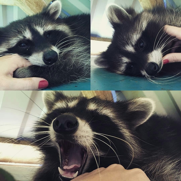 Коротко о пятнице