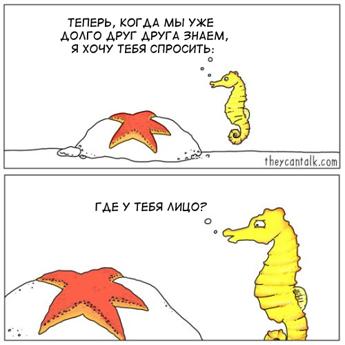 horse and star - Theycantalk, Comics