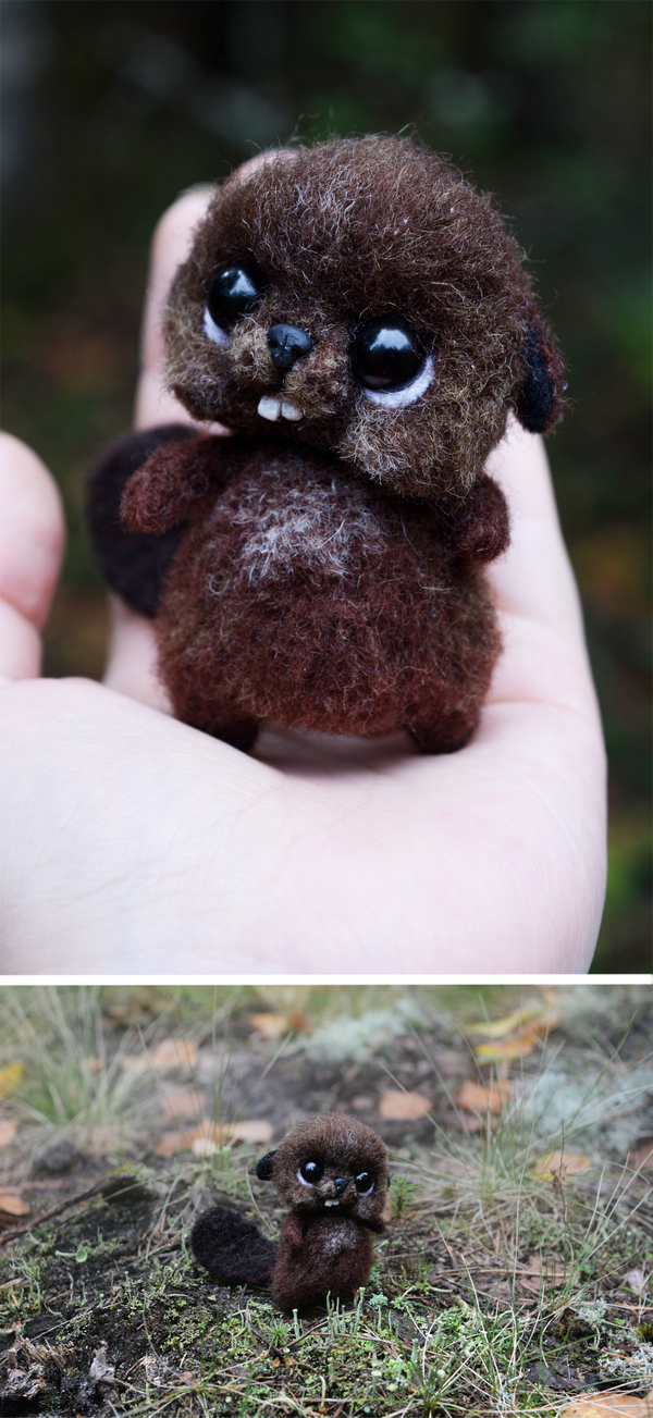 wool babies - My, Wallow, Wool, Wool toy, Raccoon, Fox, Beavers, , Dry felting, Longpost