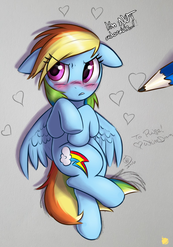    ,     ,     . My Little Pony, Rainbow Dash