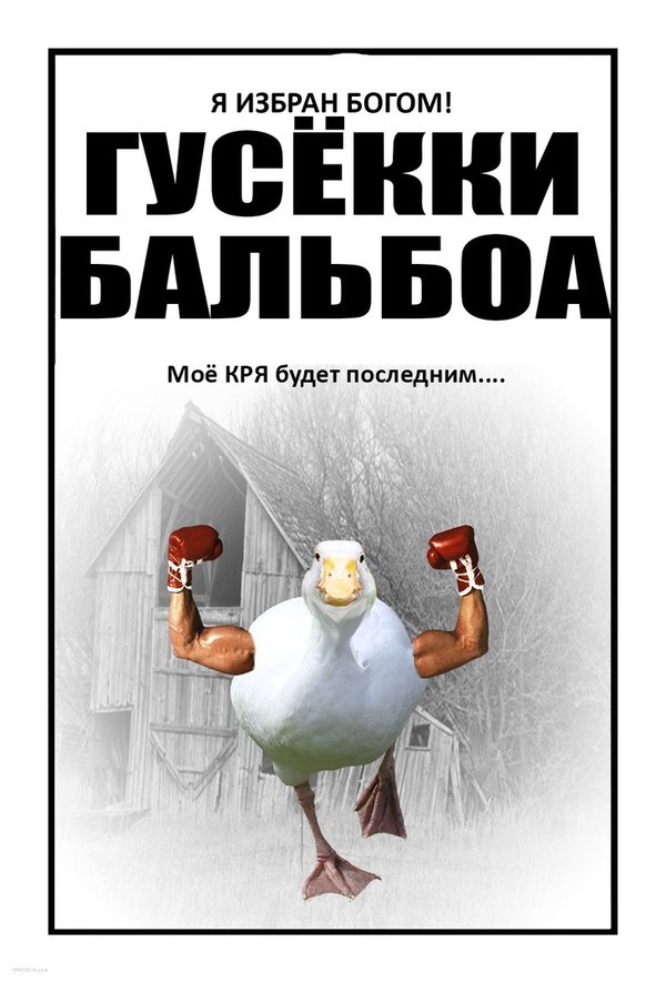 Coming soon to the cinema - My, Rocky, Rocky Balboa, Boxing, Гусь