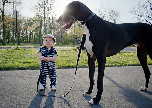 Childhood is when your dog is bigger than your horse - Dog, , Children