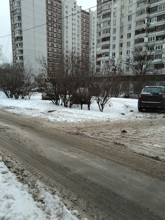 Boiled - My, Cattle, Auto Bull, Parking