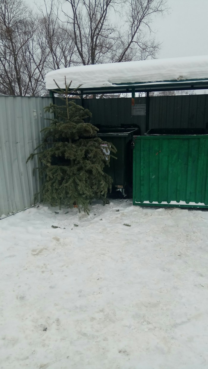 Weakling - Christmas trees, Trash can