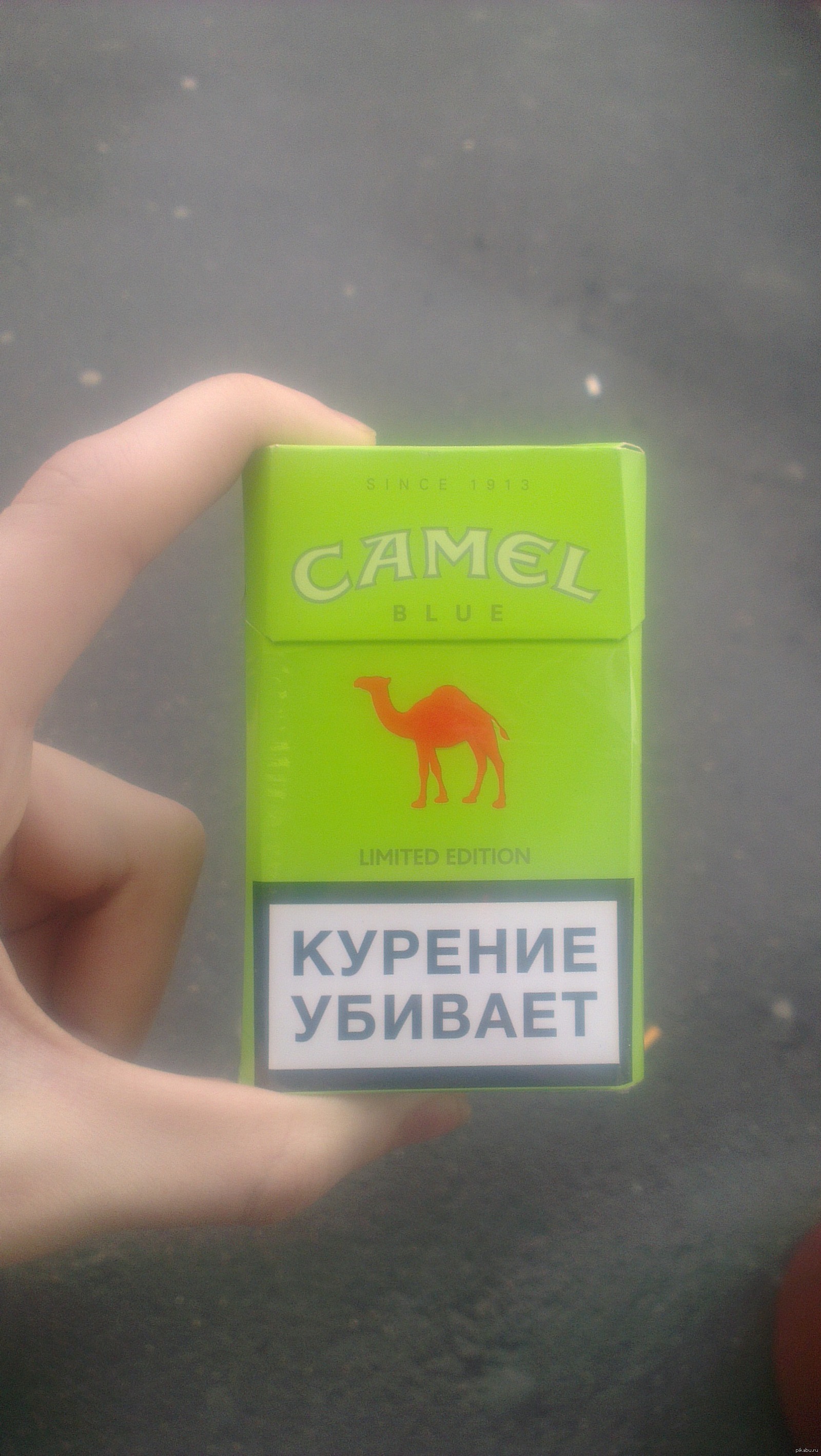 Сигареты кэмел компакт с кнопкой. Camel Compact 100 с кнопкой зеленый. Camel Compact с зеленой кнопкой. Сигареты кэмел компакт с кнопкой зеленой. Сигареты кэмел с кнопкой желтой.