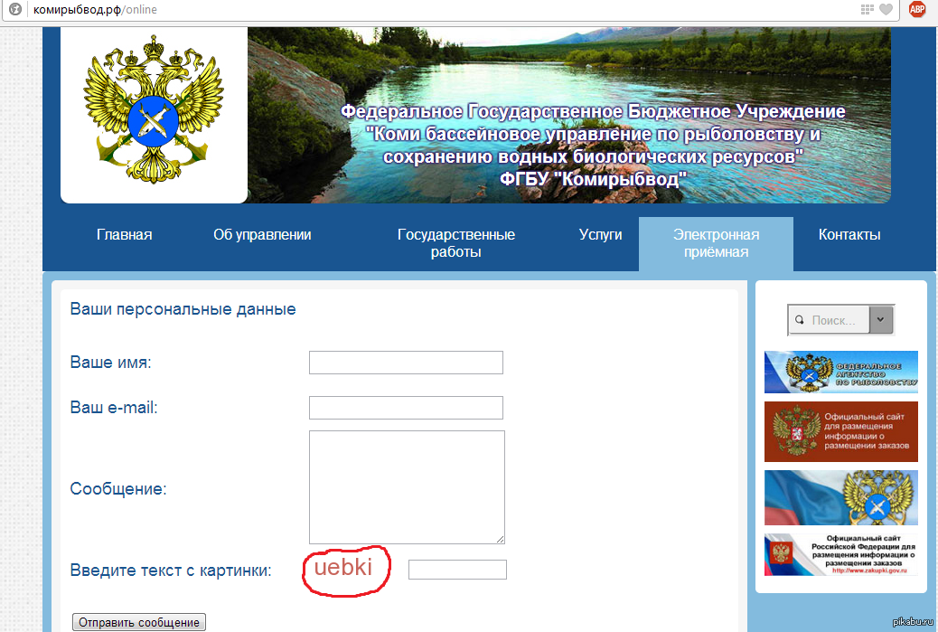 Зашел на гос сайт, а там.... | Пикабу