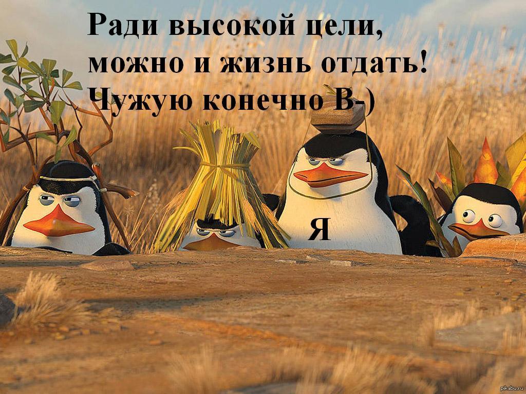 народ, помогите найти видео шор-трек где все упали и китаец пришел первым!  | Пикабу