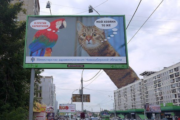 Поднимите баннер. Смешные рекламные щиты. Веселая реклама на щитах. Смешные рекламные плакаты. Рекламный щит с животными.