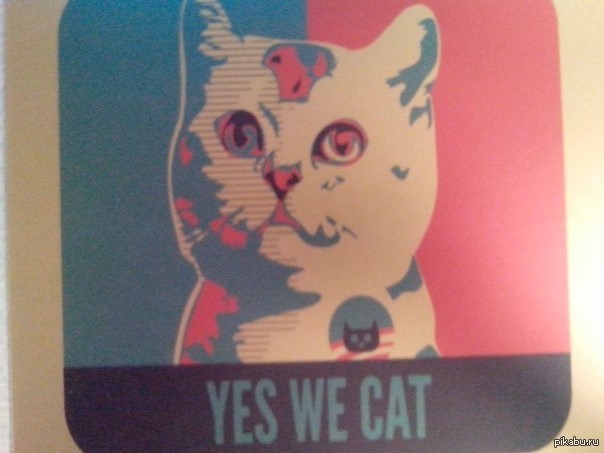 Cats yes