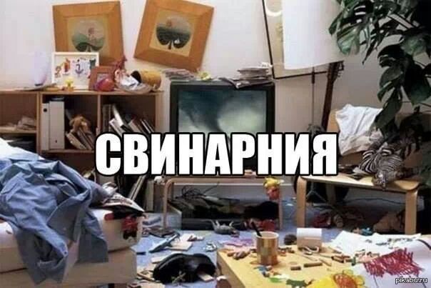 Свинарния | Пикабу