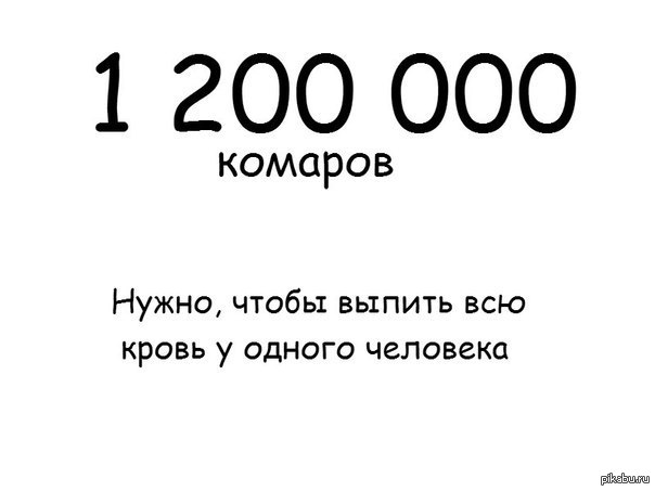 И лишь один, чтобы за*бать. - Комары, Сосут, Теги, ВКонтакте