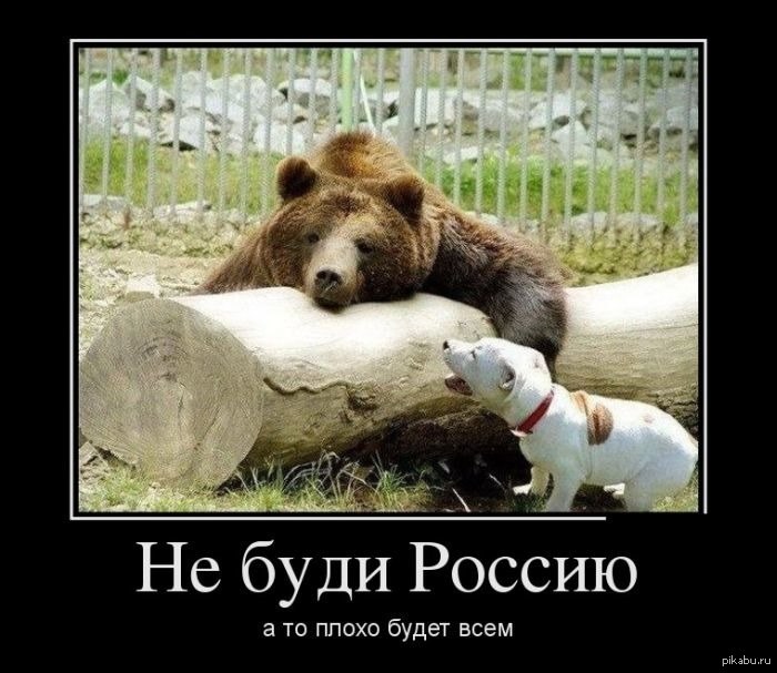Давайте жить дружно. | Пикабу