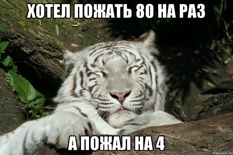 Довольный тигр