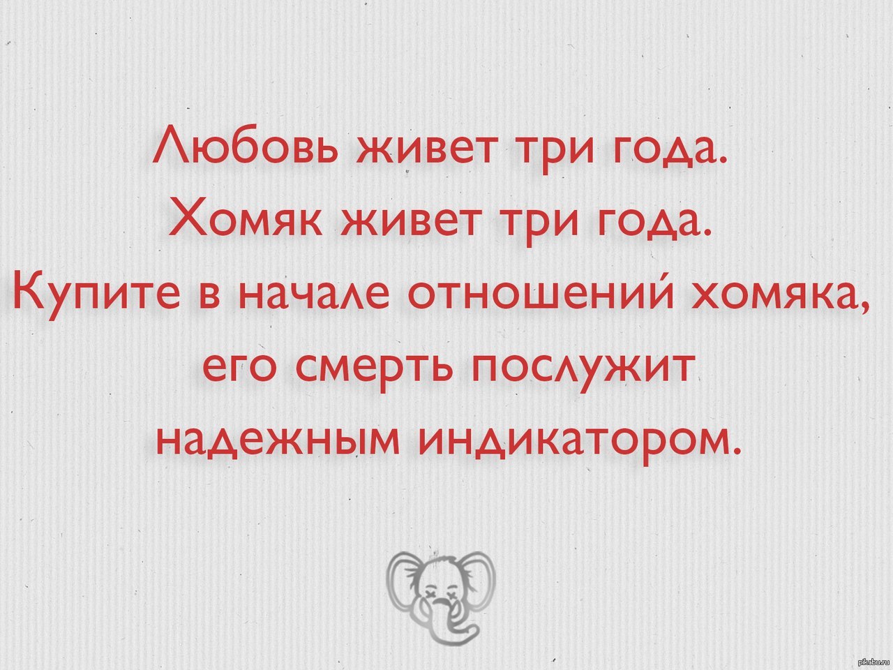 Жили любовь. Любовь живет три года хомяк живет три года. Хомяк живет три года любовь. Хомяк живет три года. Любовь живет 3 года хомяк живет 3 года.