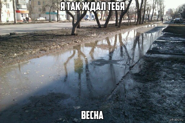 Весна | Пикабу