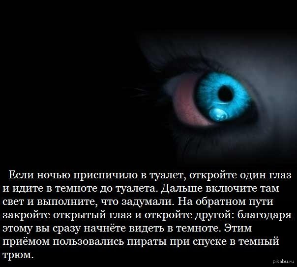 И скрылась из глаз в пелене. Глаза способные видеть в темноте. Глаз ночи. Глаза видят в темноте. Зрение человека в темноте.