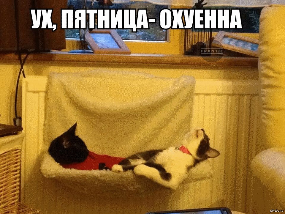 Отпуск Дома Картинки Прикольные
