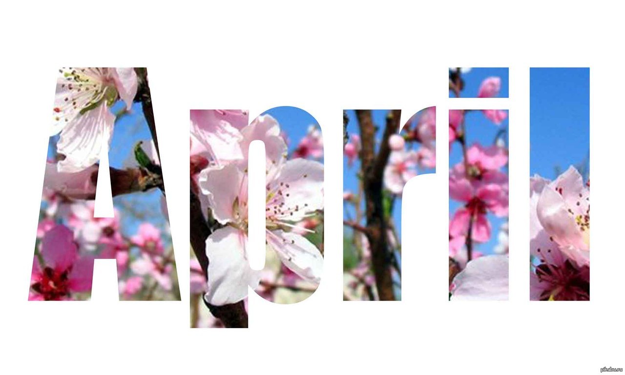 Весенний месяц | Пикабу