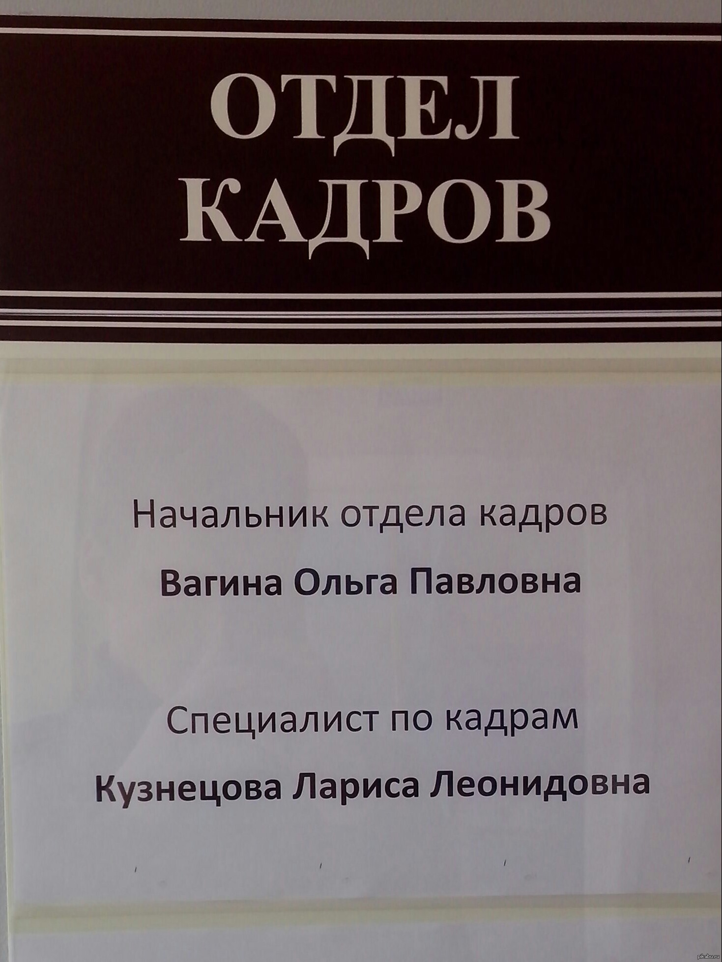 Номер телефона отдела кадров. Отдел кадров. Телефон отдела кадров. Номер отдела кадров. Номер тел отдела кадров.