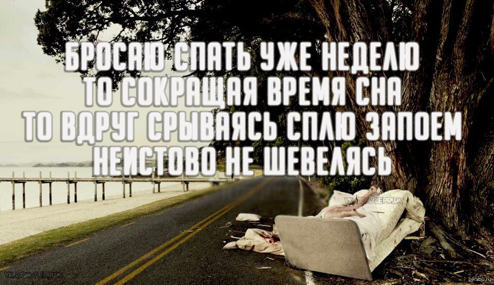 Неистовство | Пикабу