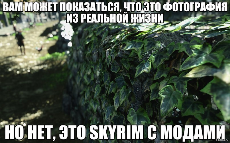 Вот так вот | Пикабу