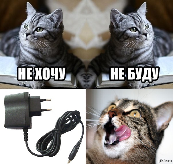 Включи кот на час. Котик на зарядке. Мем про котика на зарядке. Кот заряжается. Зарядка для телефона котики.