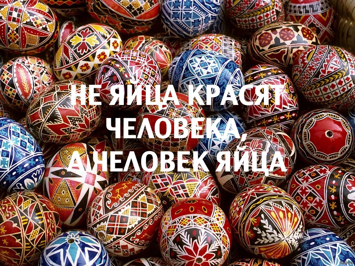 Днем рождения, картинки на пасху смешные