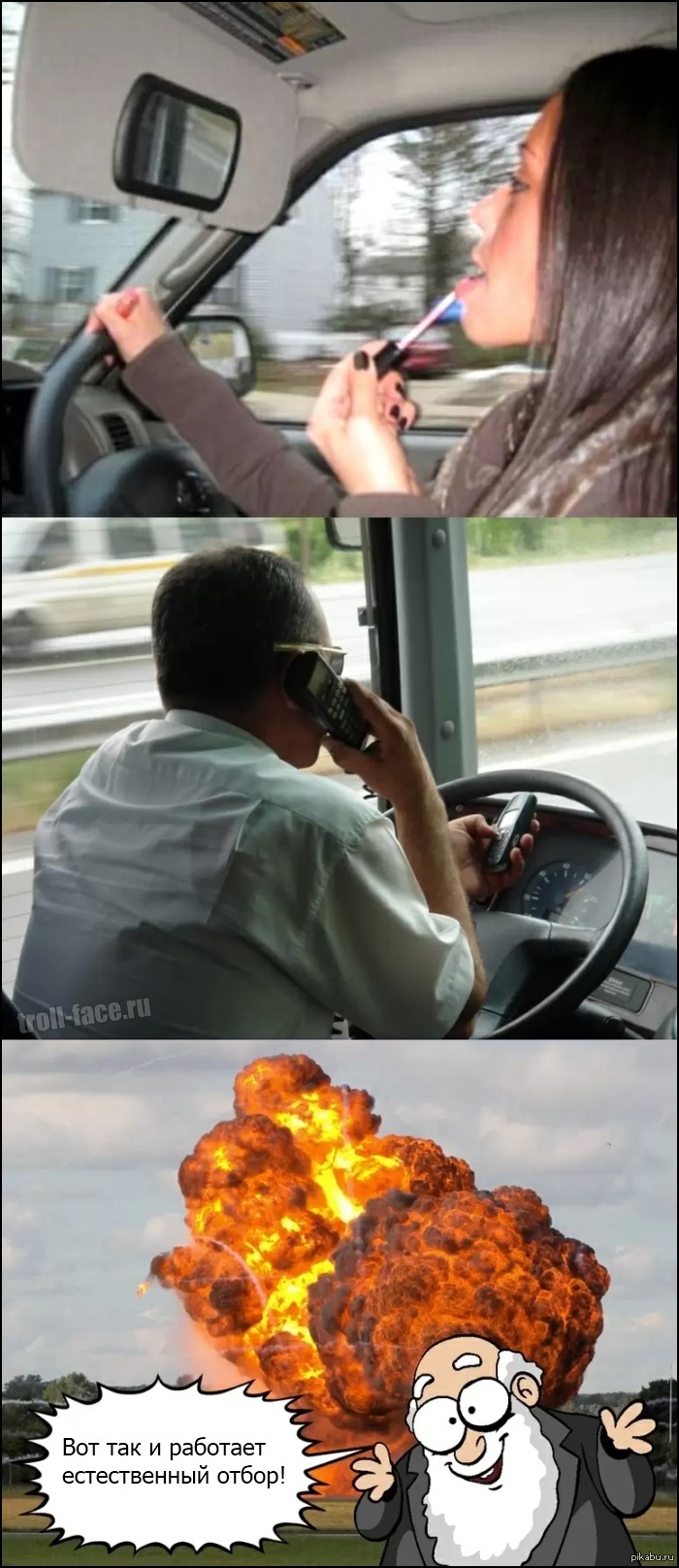 действительно | Пикабу