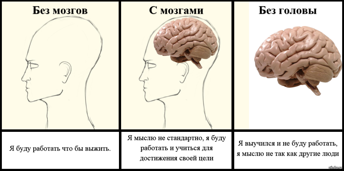 Голова чтобы думать. Мозг усного и глубого человека. Без мозгов. Мозг в голове. Проблемы с головой.