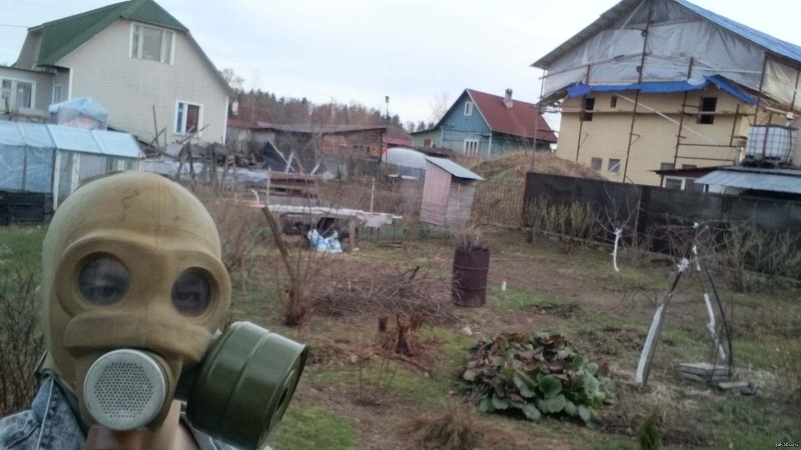 Meanwhile in dacha :D | Пикабу